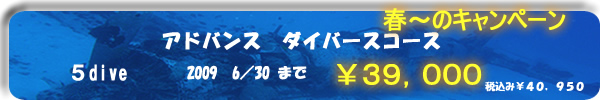 �É����É��s�@�_�C�r���O�A�h�o���X�@�_�C�r���O�V���b�v