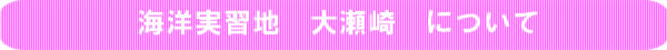 海洋実習は、湾内で波も少ないので、安心して潜れます｜大瀬崎　西井伊豆で体験ダイビングを